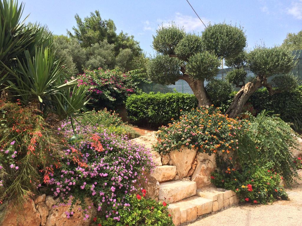 B&B All'Ombra Degli Ulivi Ostuni Bagian luar foto