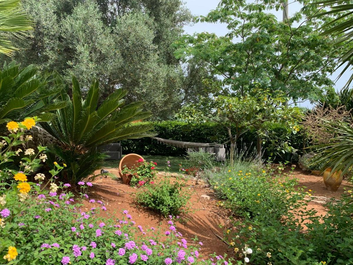 B&B All'Ombra Degli Ulivi Ostuni Bagian luar foto
